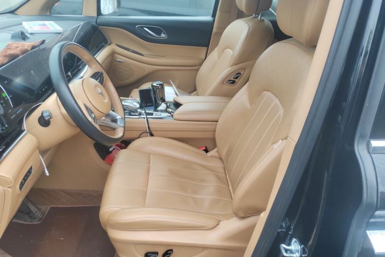 Used VOYAH Dream  Left Front Seat