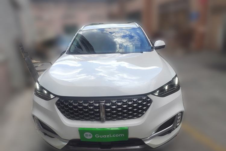 Used Wey VV6 2021 2.0T Two-Wheel Drive Smart Protection+