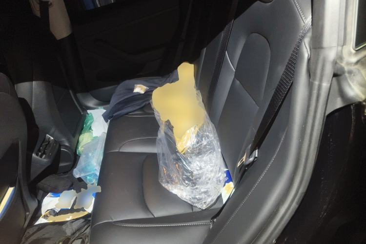 Used Tesla Model 3 2022 Rear-Wheel-Drive Version