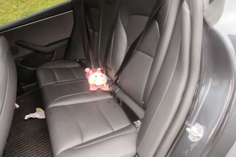 Used Tesla Model 3 2023 Rear-Wheel-Drive Version