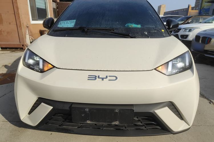 Used BYD Seagull 2024 Honor Edition 305km Freedom Version