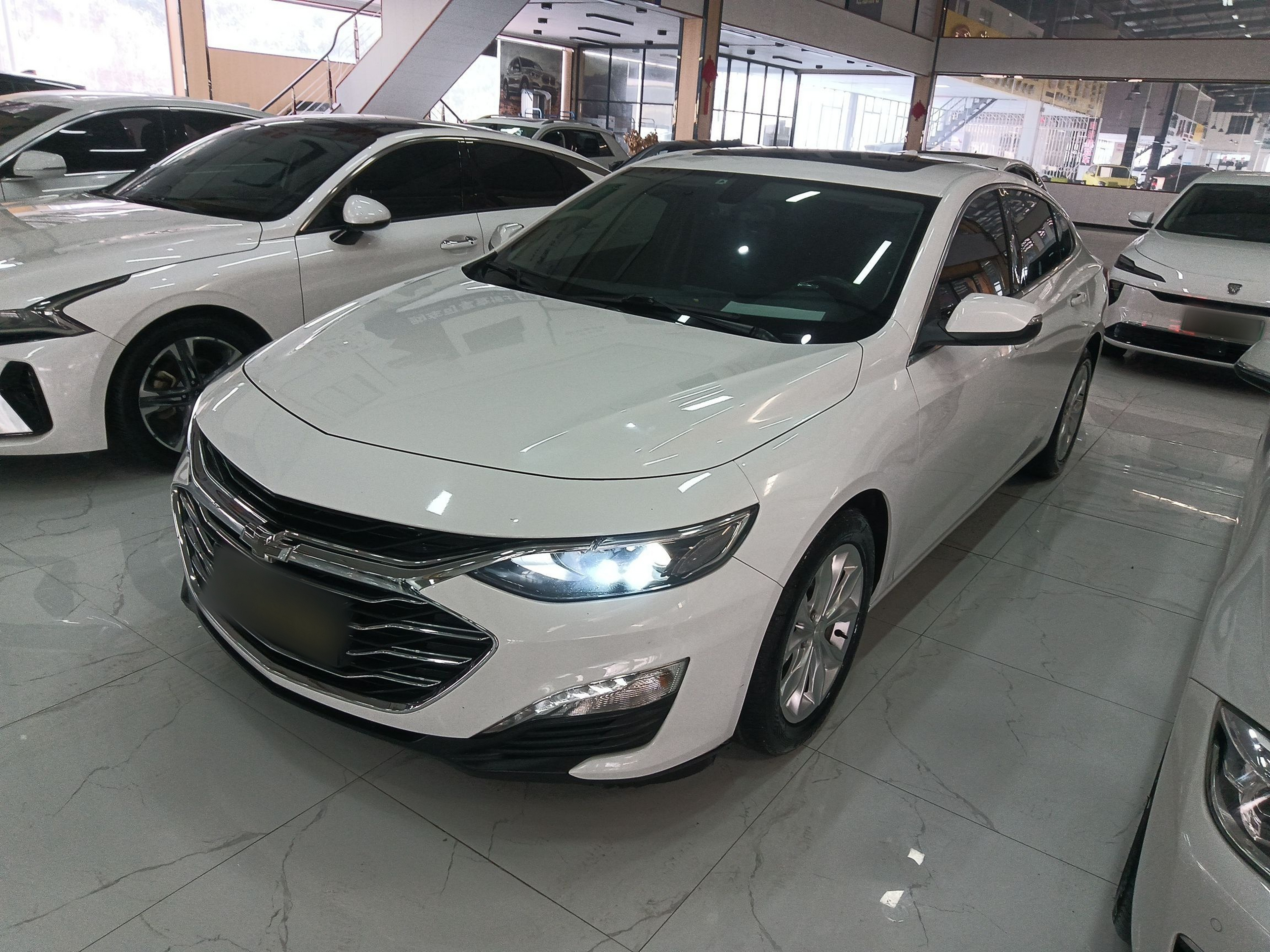 Parte inferior delantera