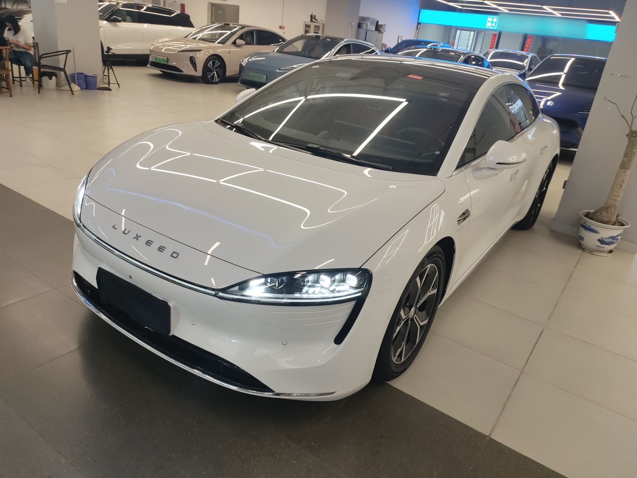 تحت مقدمة السيارة