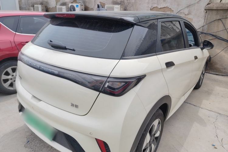 Used BYD Dolphin 2024 Honor Edition 420km Freedom Version Rear Right 45 Deg