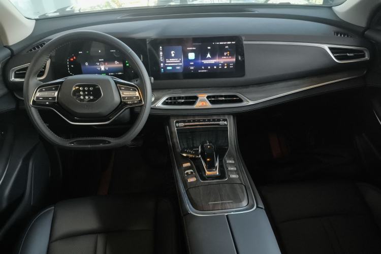 Used Landian E5 2024 Honor Edition 100KM Comfort Model 7 Seats
