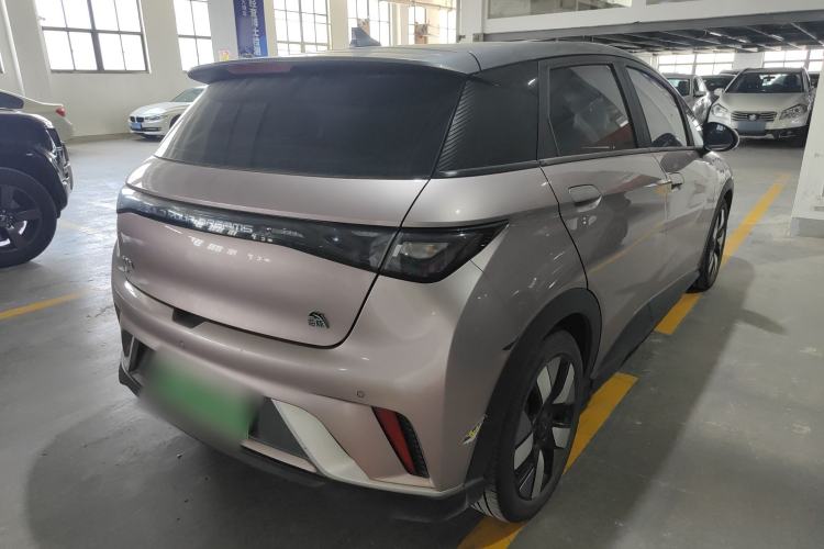 Used BYD Dolphin 2021 401km Knight Edition
