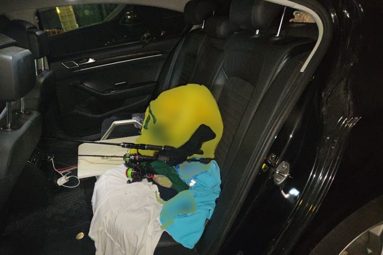 Used Volkswagen Magotan 2017 330TSI DSG Luxury Model Left Rear Seat