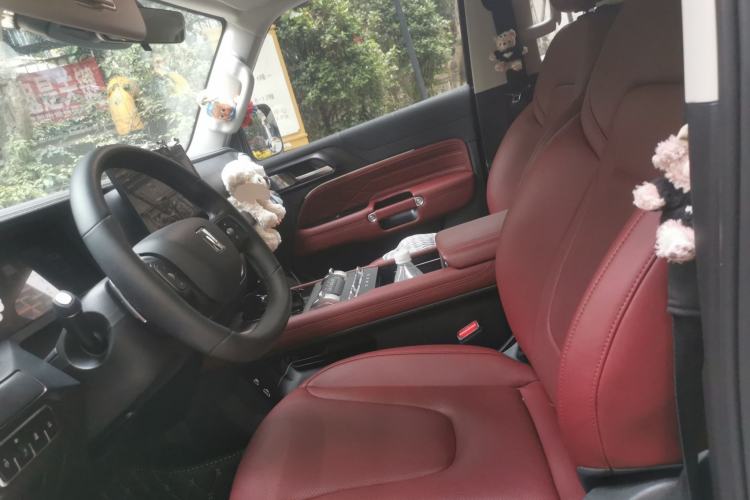 Used Tank 300 2025 2.0T Conqueror Left Front Seat