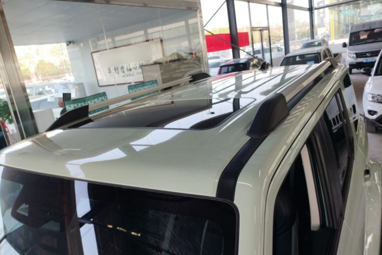 Used Tank 300 2023 City Edition 2.0T—Stylish as Ever
