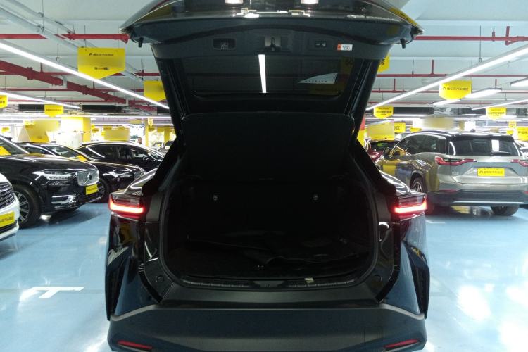 Used Lexus RZ 2023 450e All-Wheel Drive Luxury Edition