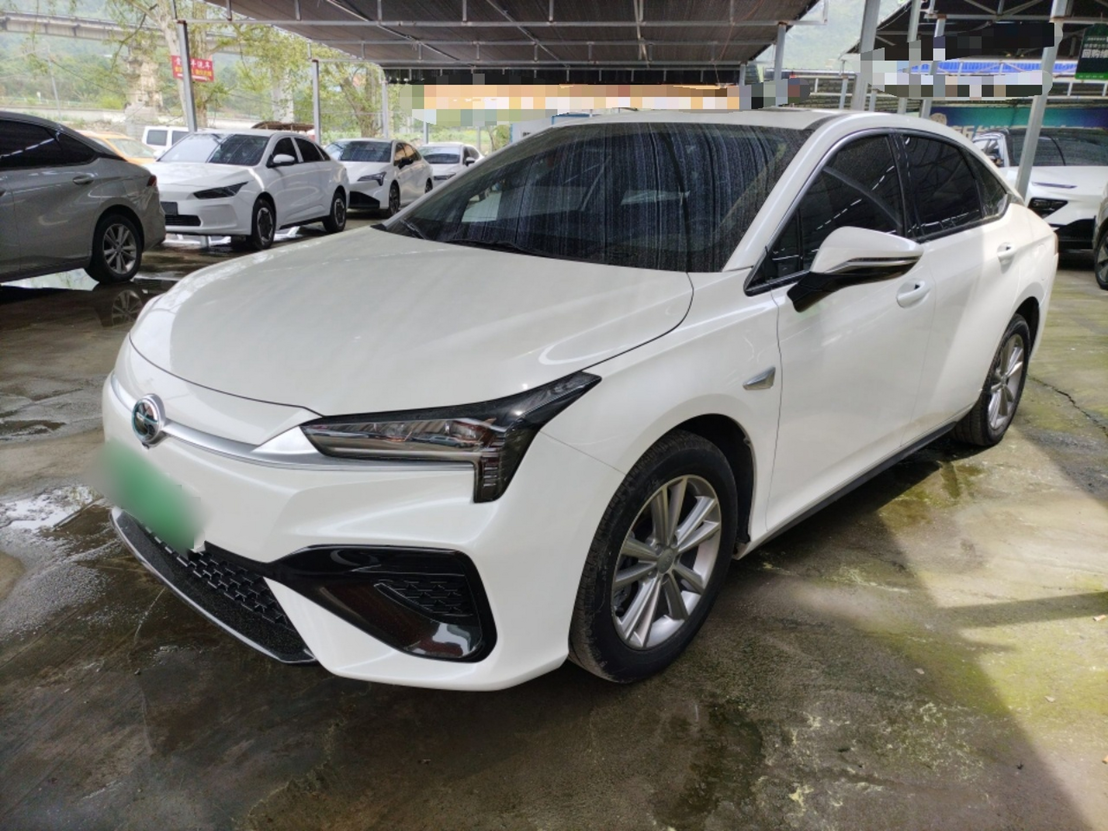 Parte inferior delantera