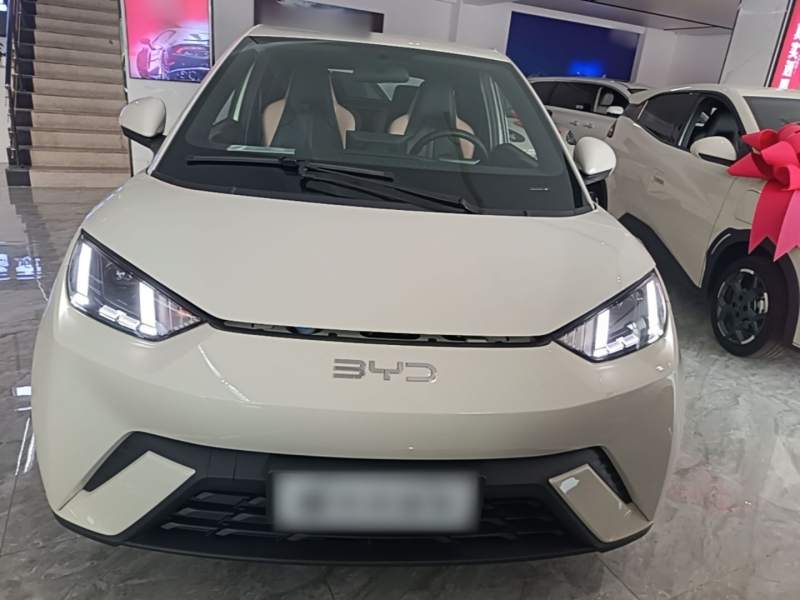 Used BYD Seagull 2025 305 km Free Version — 2