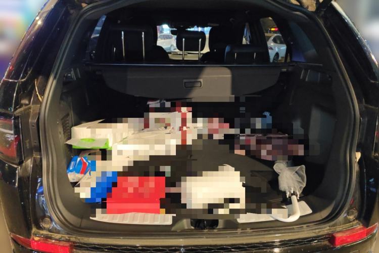 Used Land Rover Discovery Sport 2023 249 PS R-Dynamic S Performance Edition Trunk