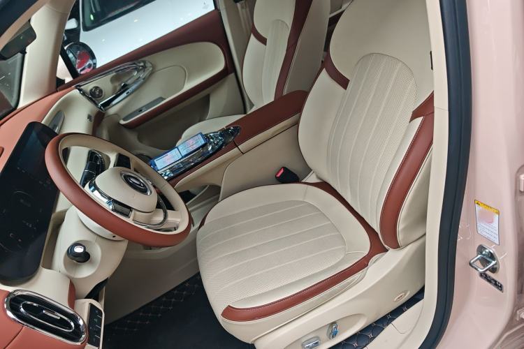 Used ORA Ballet Cat 2023 401 km Luxury Version Left Front Seat