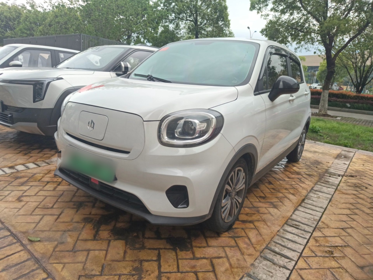 Parte inferior delantera