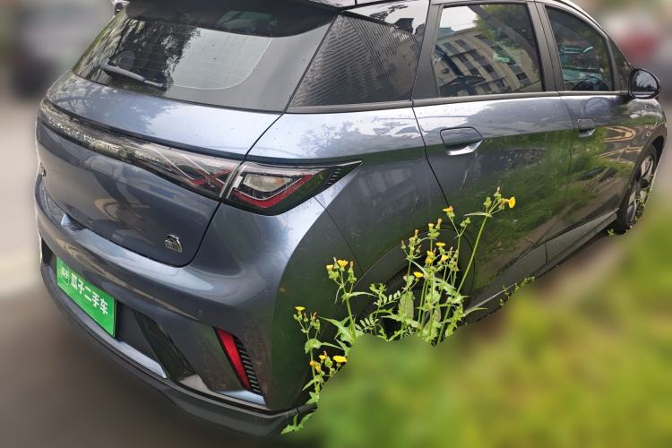 Used BYD Dolphin 2023 401km Knight Edition Rear Right 45 Deg