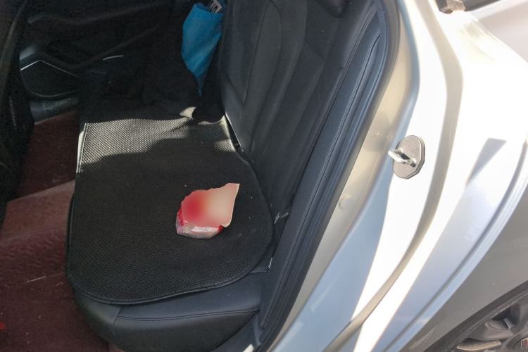 Used Hongqi H5 2020 1.5T DCT Flagship Edition