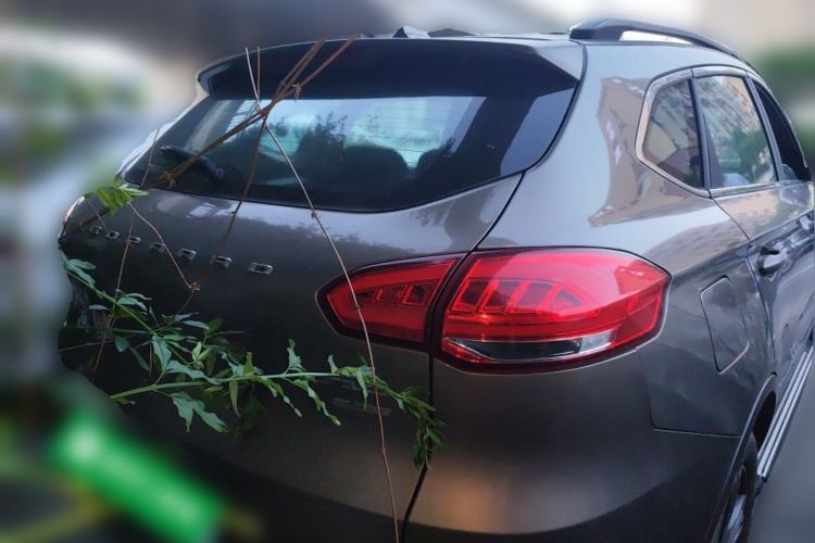 Used Leopaard CS10 2016 2.0T Manual Excellence Edition
