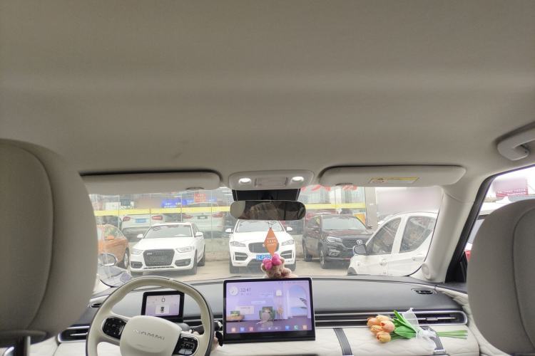 Used Dongfeng NAMMI 01 2024 430 Max
