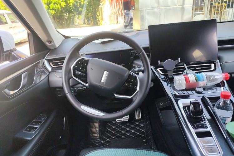 Used Wey Mocha 2021 2.0T Two-Wheel Drive Special Edition
