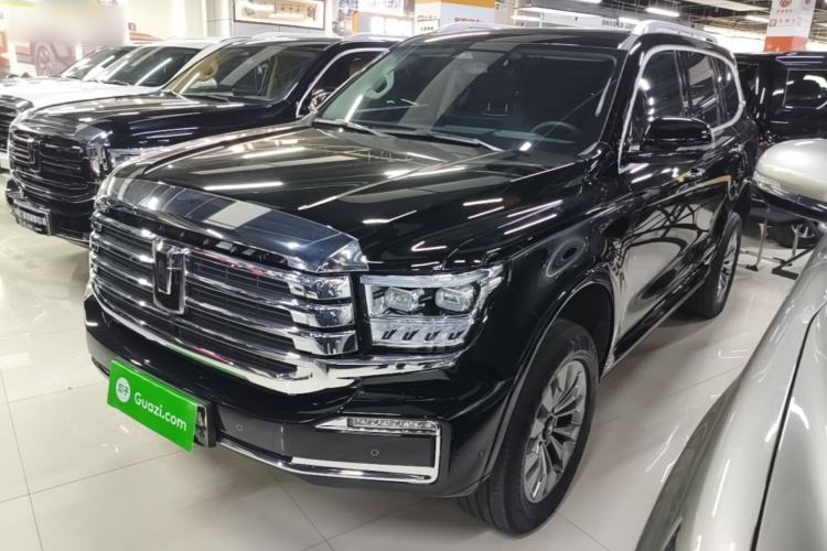 Used Tank 500 New Energy 2026 Model—Hi4-T Standard Version