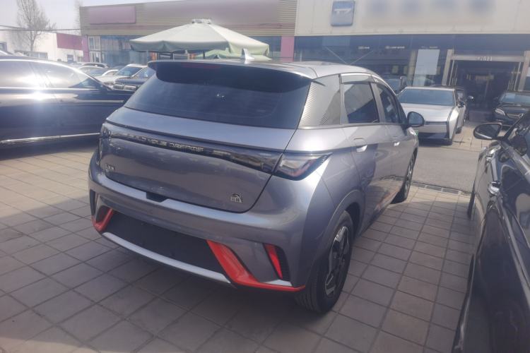 Used BYD Dolphin 2021 405 km Free Version