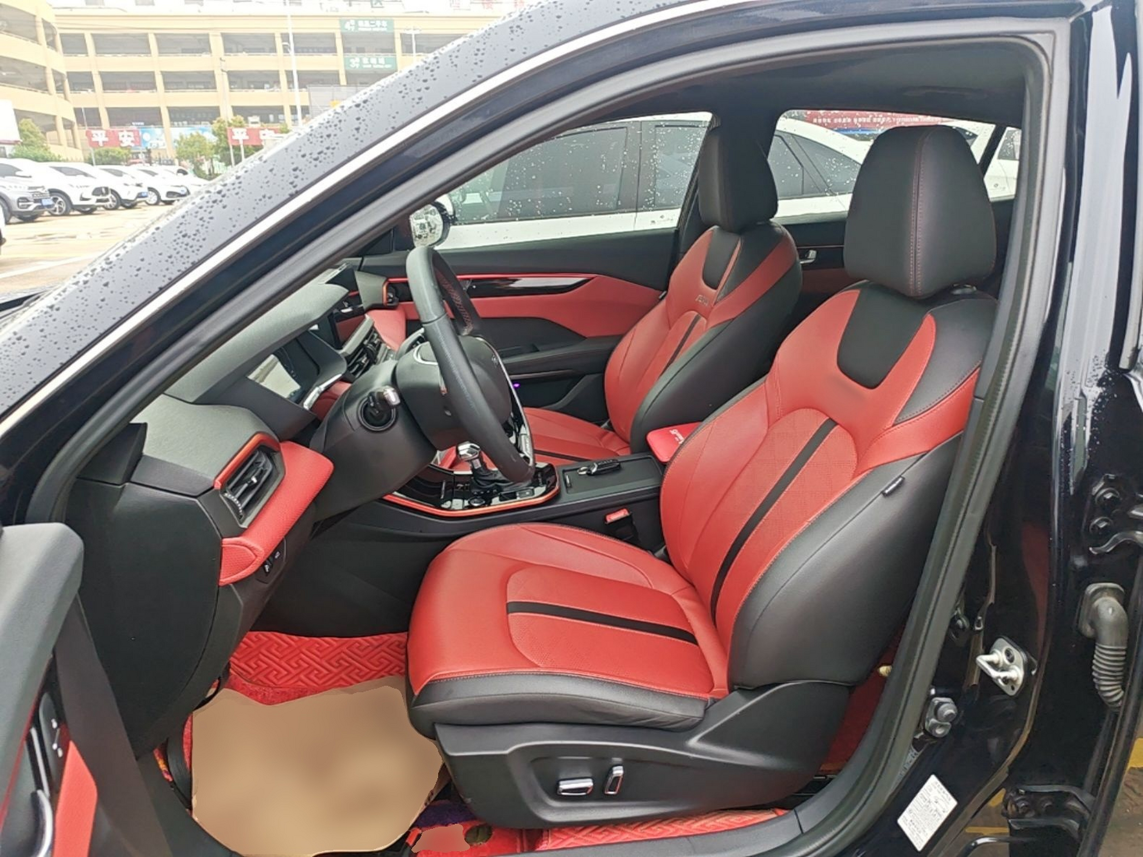 Interior delantero
