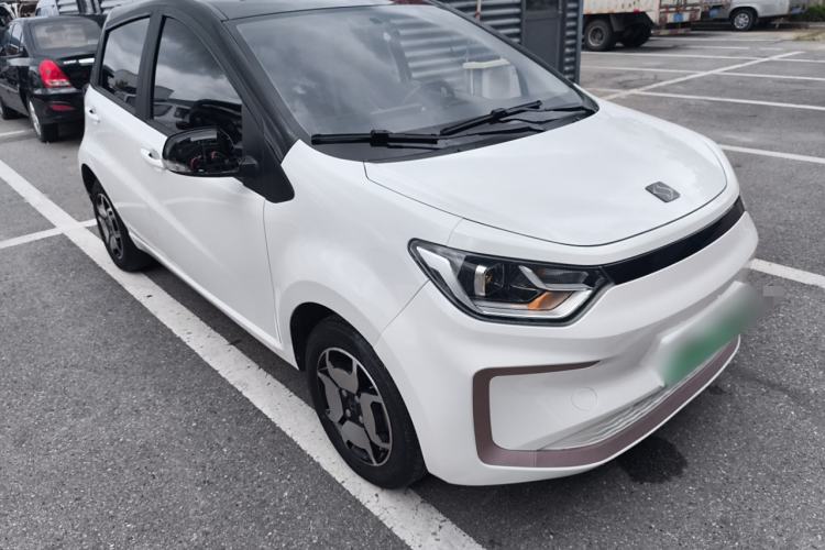 Used SOL E10X 2022 Flower Fairy Style Baby's Breath