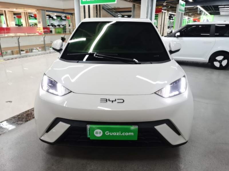 Used BYD Seagull 2025 305 km Free Version — 2