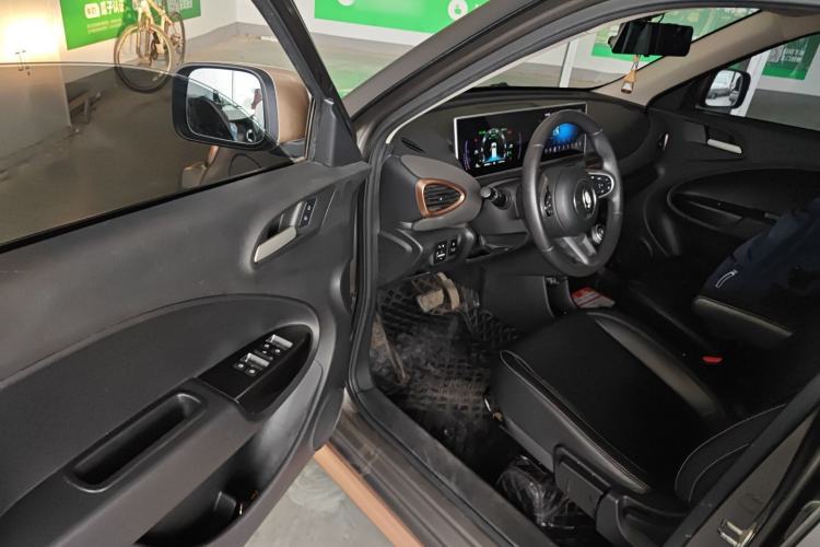 Used ORA White Cat 2020 401 km Flagship Version
