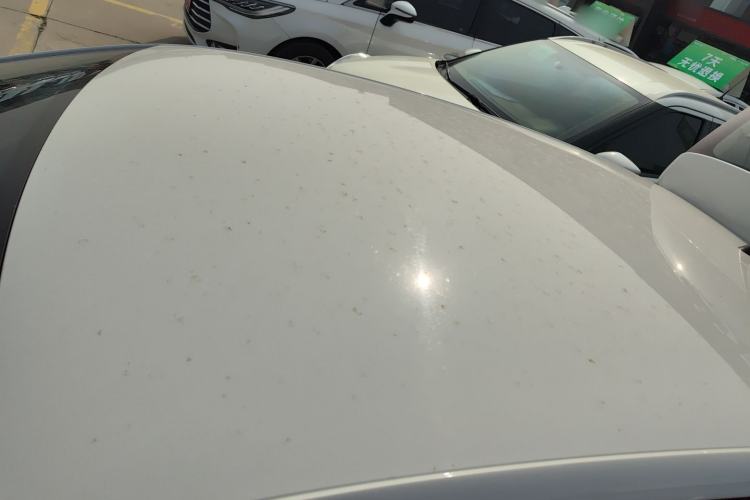 Used Volkswagen Polo 2016 1.4L Automatic Trendy Model
