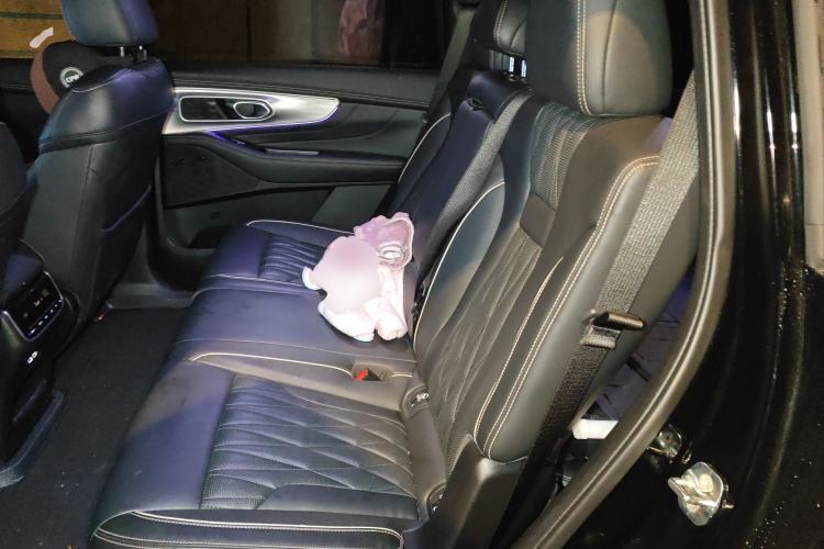 Used GAC Trumpchi GS8 2022 Linghang Series 2.0 TGDI Two-Wheel-Drive Luxury Smart Connectivity Version (7 Seats) Left Rear Seat