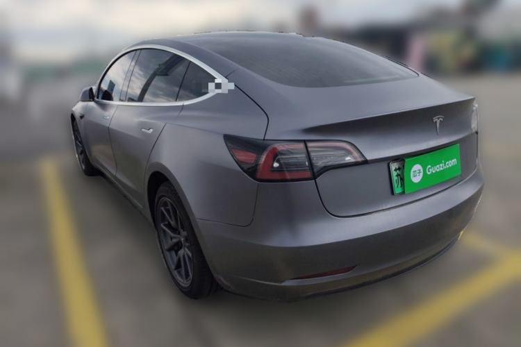 Used Tesla Model 3 2020 Standard Range Rear-Wheel Drive Upgraded Version Rear Left 45 Deg