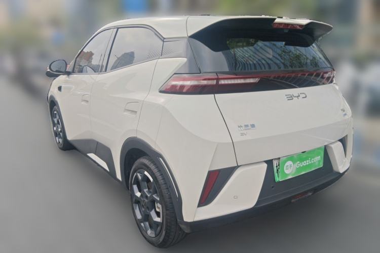 Used BYD Seagull 2025 Smart Drive Version 305 km Freedom Edition