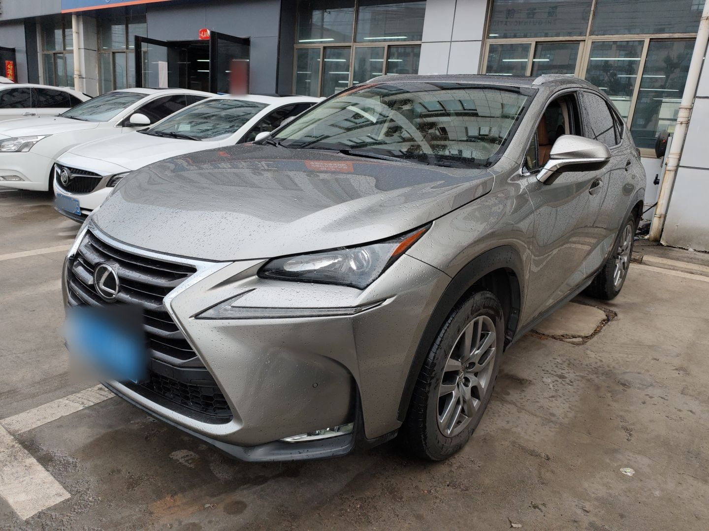 Parte inferior delantera