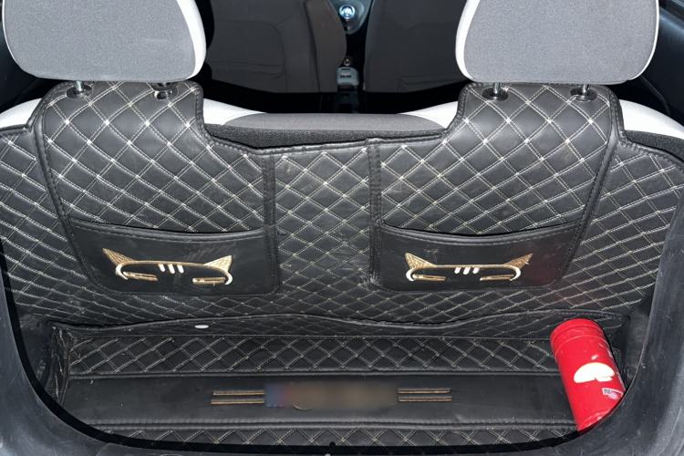 Used ORA Black Cat 2021 301km Cute Pet Edition