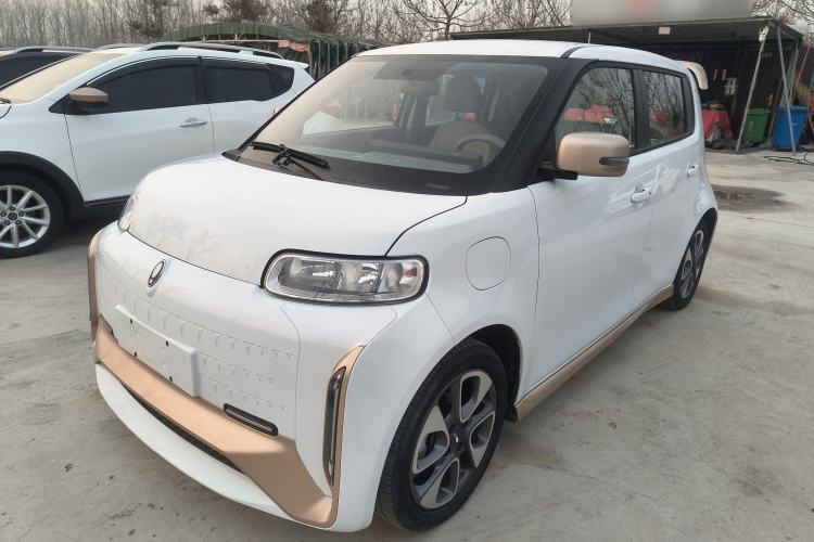Used ORA White Cat 2022 Xiaoyue Mao Edition 360 km Luxury Model Lithium NMC