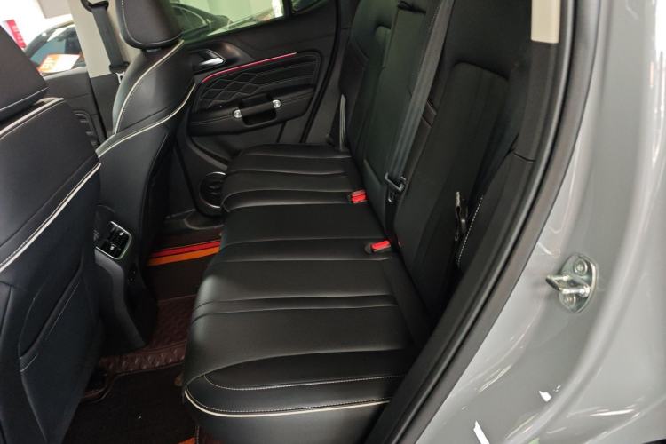 Used Tank 300 2024 2.0T Conqueror