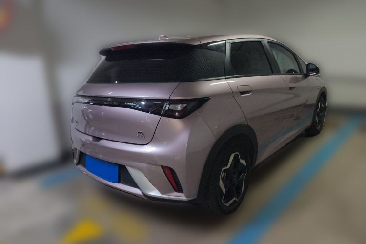 Used BYD Dolphin 2021 405 km Fashion Edition Rear Right 45 Deg