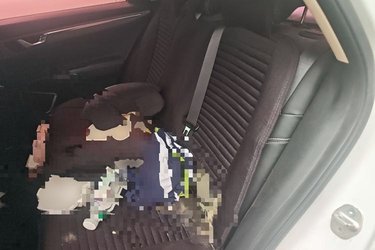 Used Geely Auto Emgrand GL 2017 1.8L Manual Elite Model Left Rear Seat