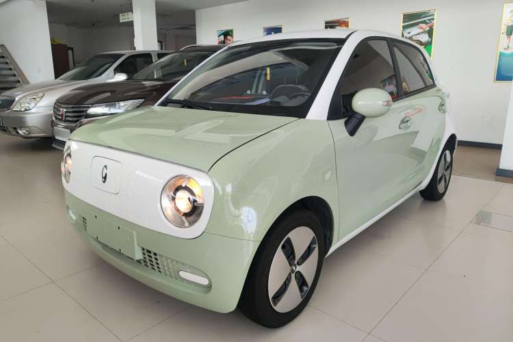 Used ORA Black Cat 2022 Updated Version 301 km Cute Pet Edition Lithium Iron Phosphate