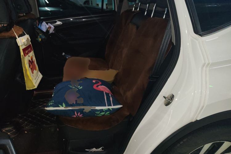 Used Volkswagen Tiguan L 2022 330TSI Automatic Two-Wheel Drive Smart Edition Left Rear Seat