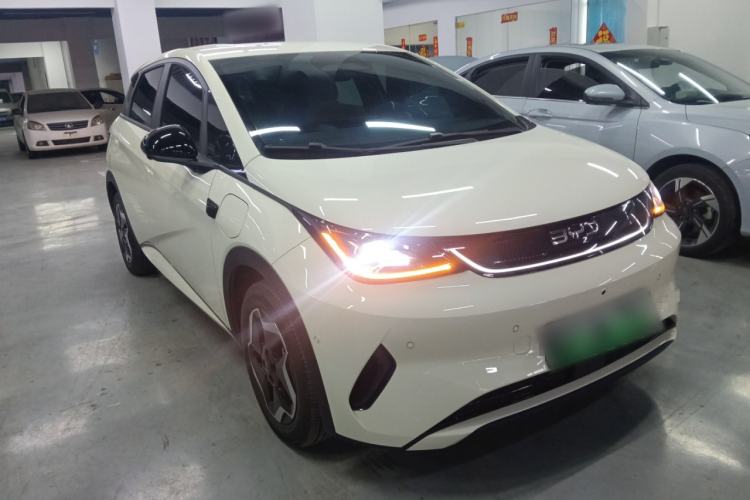 Used BYD Dolphin 2025 Smart Drive Version 420 km Freedom Edition
