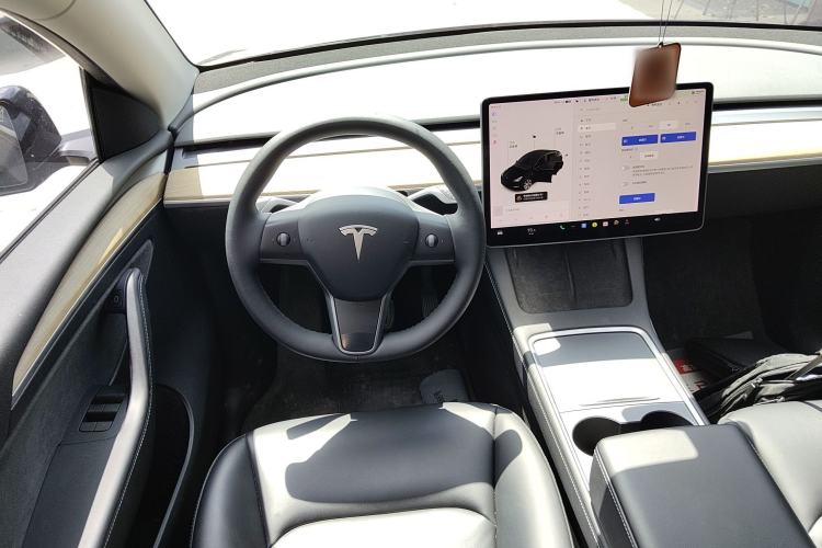 Used Tesla Model Y 2021 Standard Range Rear-Wheel Drive Version
