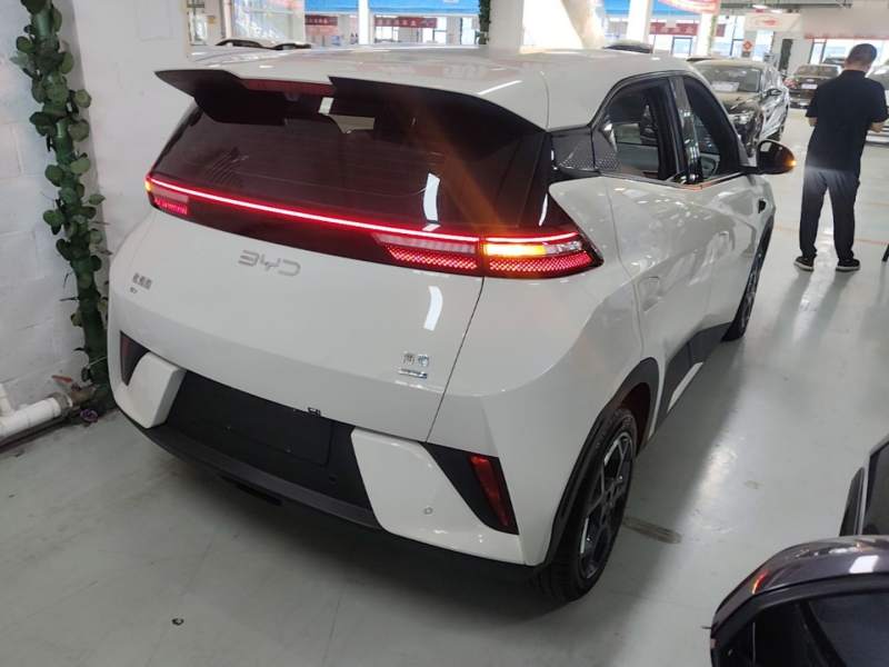 Used BYD Seagull 2025 Smart Drive Version 305 km Freedom Edition — 6