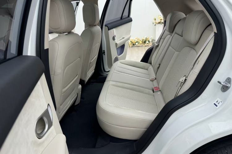 Used firefly firefly 2025 Illuminated Edition