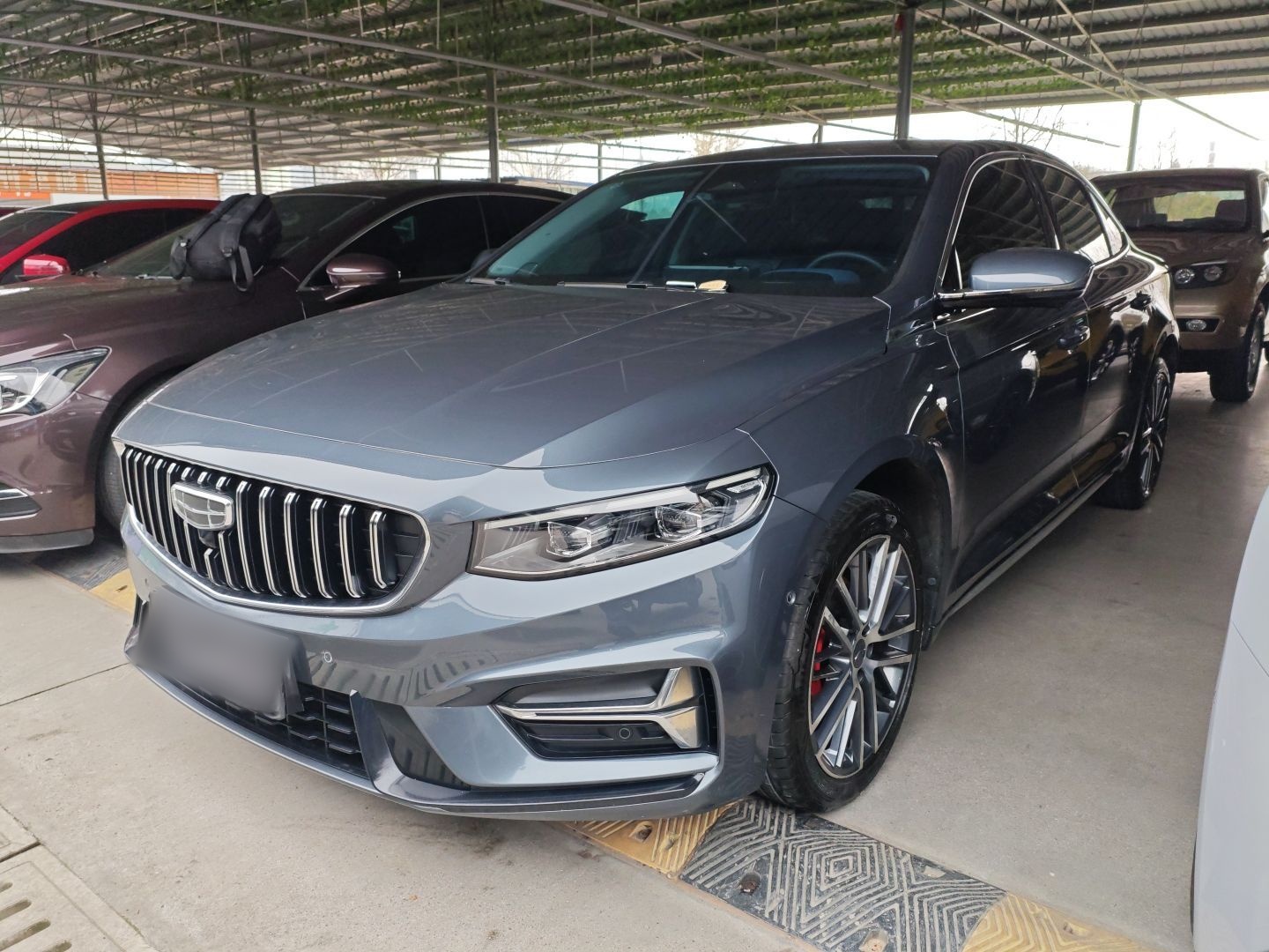 Parte inferior delantera