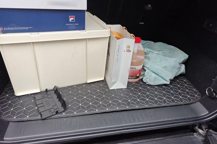 Used Tank 300 2025 2.0T Conqueror
