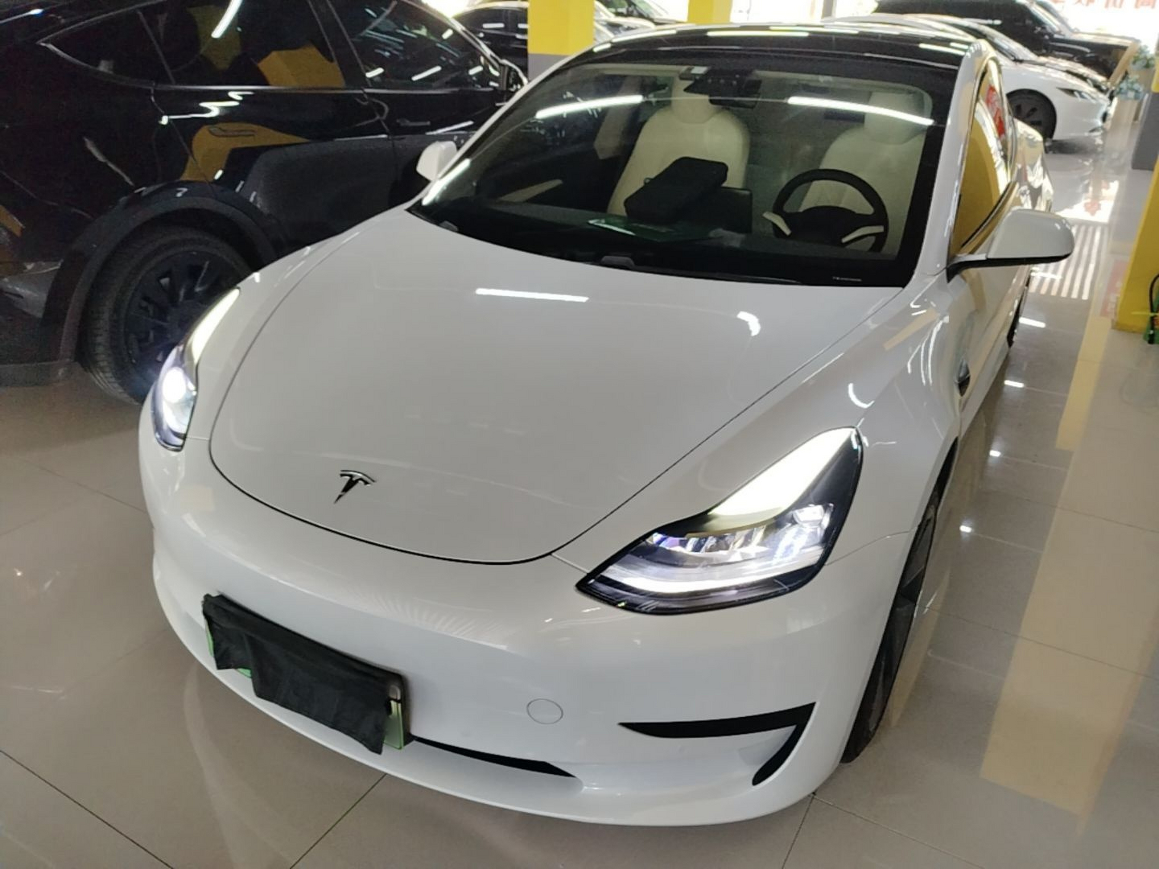 Under Front Bumper