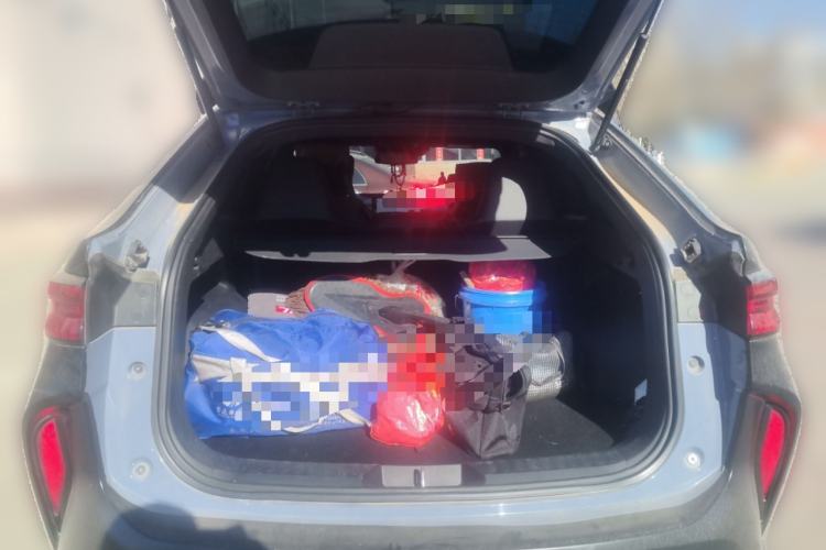 Used Haval H6S 2022 2.0T Two-Wheel Drive ZhiRun Version